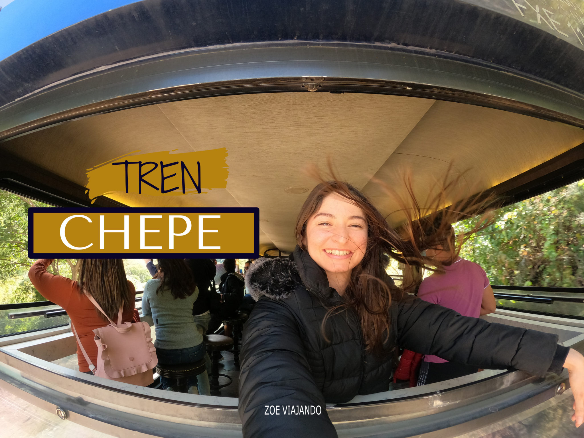 Guía Completa Para Viajar En El Tren Chepe | ZoeViajando