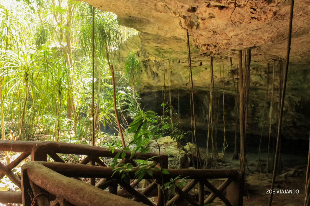 cenotes chikin-ha riviera maya