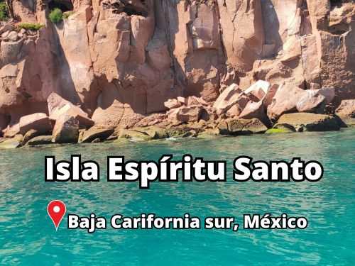 como llegar a la isla espiritu santo mexico